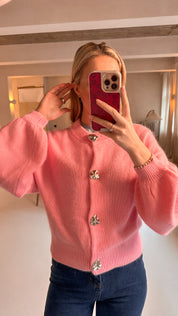 Romée trui roze