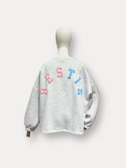 Bestie sweater grijs/blauw/roze