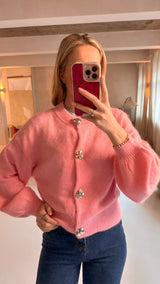 Romée trui roze