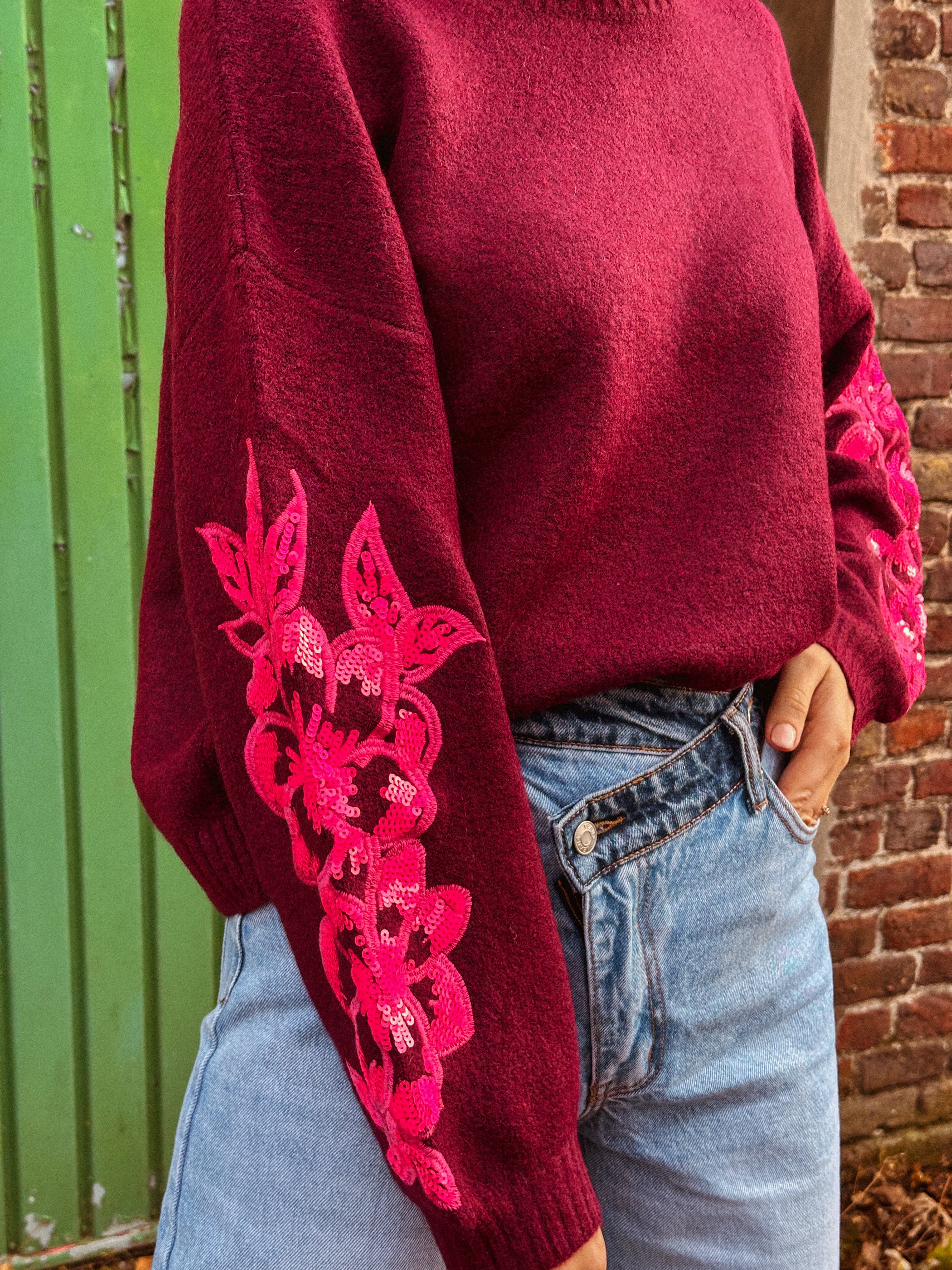 Alba trui bordeaux pailletten